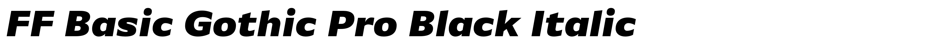 FF Basic Gothic Pro Black Italic